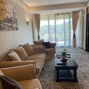 Apartament Executive Vedere Munte Alpin Resort Poiana Brasov